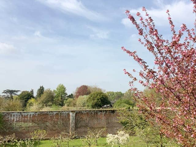 View from balcony | The View, Bury St Edmunds