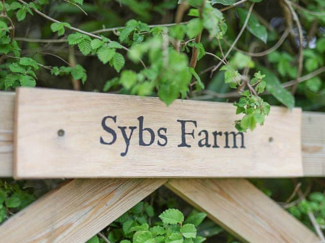 Outdoor area | Sybs Farm Shepherds Hut, Haslemere