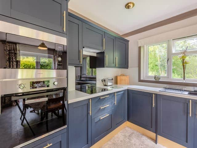 Kitchen area | Kingfisher - Lakeside Retreats, Marston