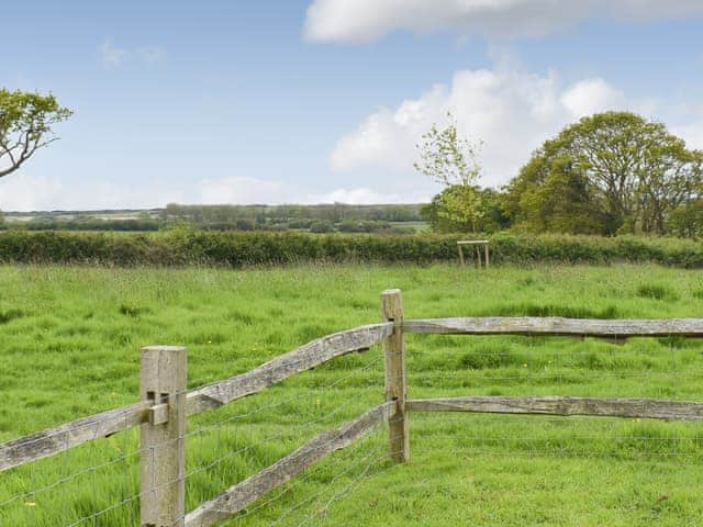 Garden | The Cow Shed, Little Common, near Bexhill-on-Sea