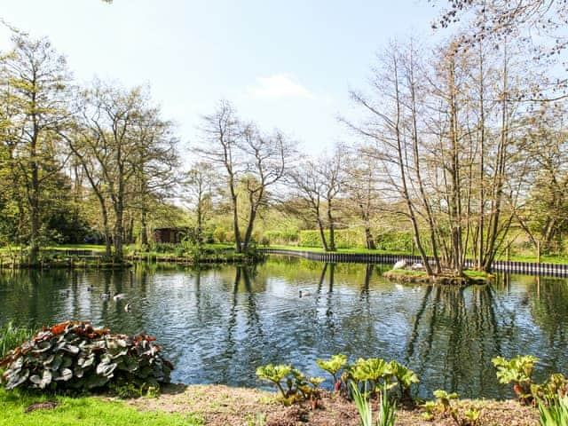 Garden and grounds | Swallowtail Lodge, Strumpshaw, near Norwich