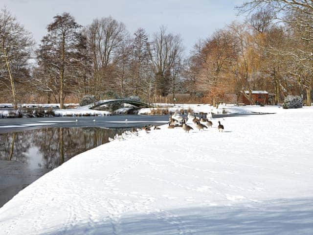 Garden and grounds | Swallowtail Lodge, Strumpshaw, near Norwich