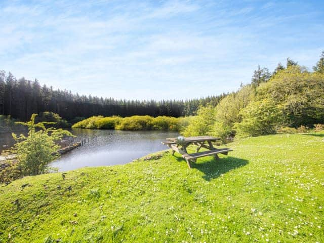 Garden | Pentregaer Issa, Croesau Bach, near Oswestry