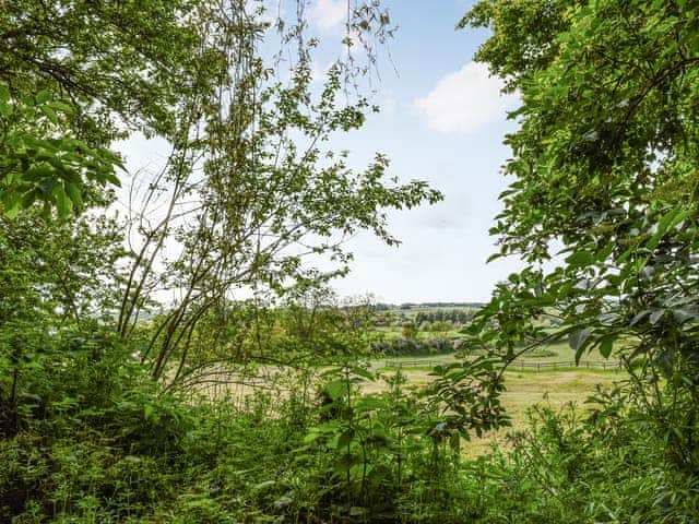 Garden | Wayside Cottage, Padbury, near Buckingham