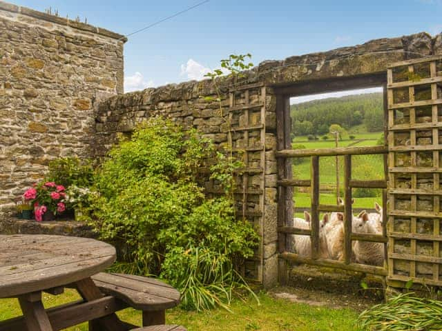 Sitting-out-area | The Shippon, Barden, near Skipton