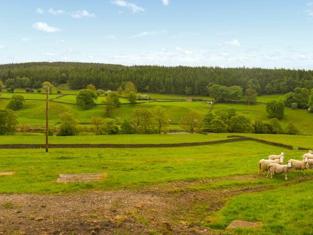 Surrounding area | The Shippon, Barden, near Skipton