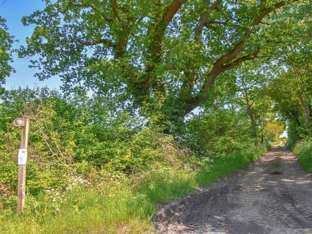 Surrounding area | No. 8 Mouse Hole - Middle of Nowhere, Great Witchingham