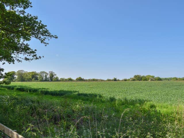 Surrounding area | No. 4 Squirrels Nest - Middle of Nowhere, Great Witchingham