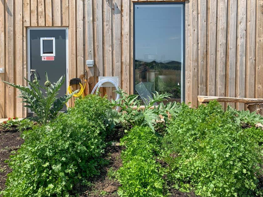 Exterior | Feltham&rsquo;s Cottage - Feltham&rsquo;s Farm, Horsington Marsh, near Templecombe