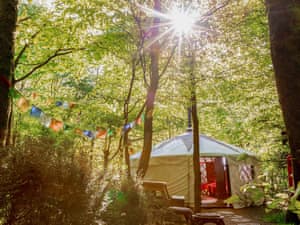Mongolian Ger - Larkhill Tipis and Yurts, Carmarthen