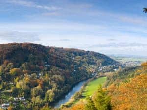 Forest of Dean