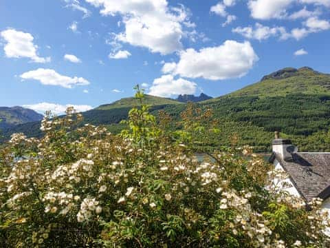 Surrounding area | Rowantree Cottage, Arrochar