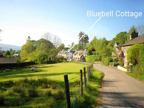 Bluebell Cottage, Llanrwst & Betws y Coed