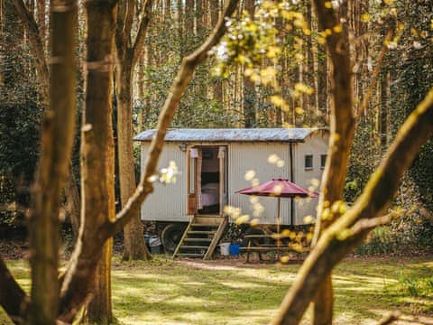 Goosewing Hut - Rosslyn Glamping, Melton Constable