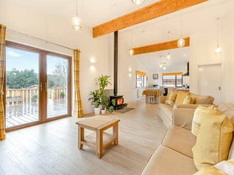 Living area | Lime Lodge - Mid Wales Lodges, Llandrindod Wells