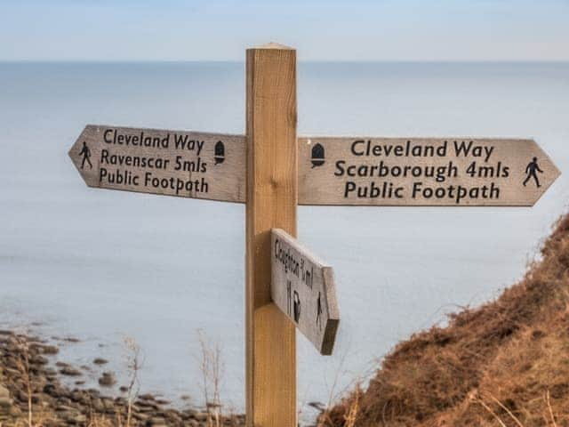 Which way shall we explore now | Wood View - Newlands Lodges, Scarborough