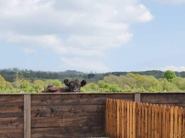 View | Fell View Cottage - Old View Holidays, Carlisle