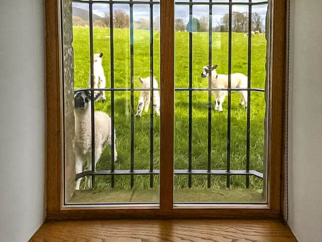 View | Rusby Barn - Ousby Barns, Ousby, near Penrith