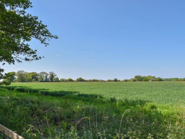 Surrounding area | No. 3 Rabbit Warren - Middle of Nowhere, Great Witchingham