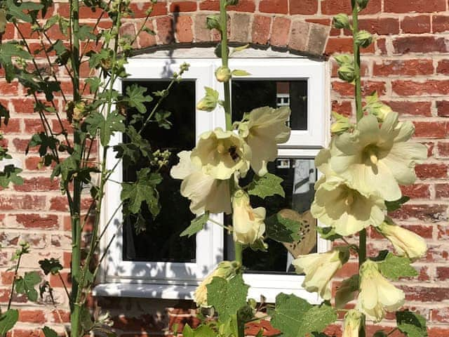 Garden | Love Heart Cottage - Heart Cottages, Wickham Market