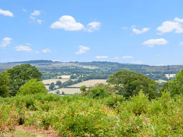 View | Log Cabin - East Hill Pride Farm, Harpford, near Sidmouth