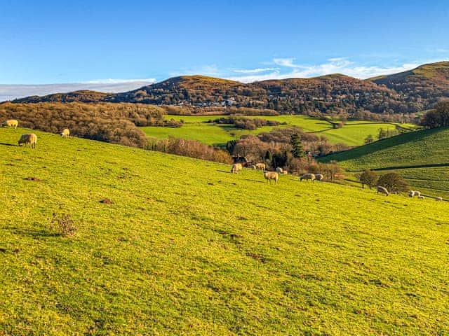 Surrounding area | The Bothy - Netherley Hall Cottages, Mathon, near Malvern
