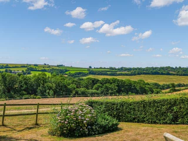 Surrounding area | Pond - Collacott Farm, Kings Nympton, near South Molton