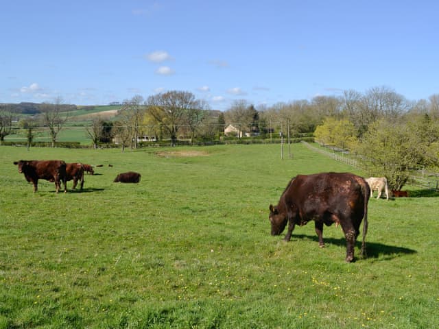 Surrounding area | Burghley Barn - Highlander Farm, Tetford, near Horncastle