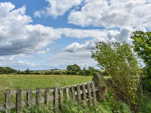 Surrounding area | High Bank Farm, Southside, Butterknowle