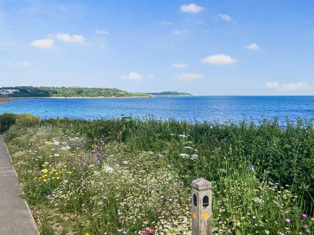 Path to Gyllyngvase Beach | Riverstones at Pendra Loweth, Falmouth