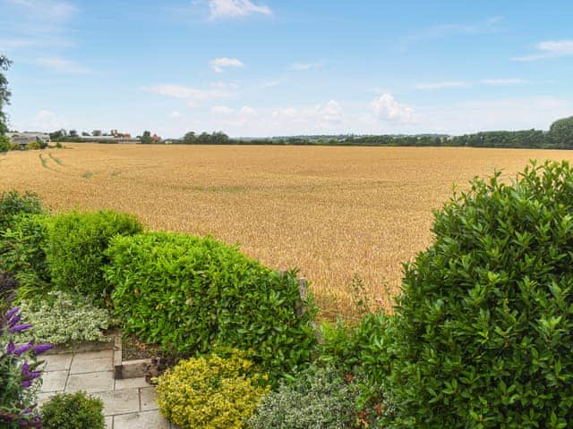 View | Marshmede, Stodmarsh, near Canterbury