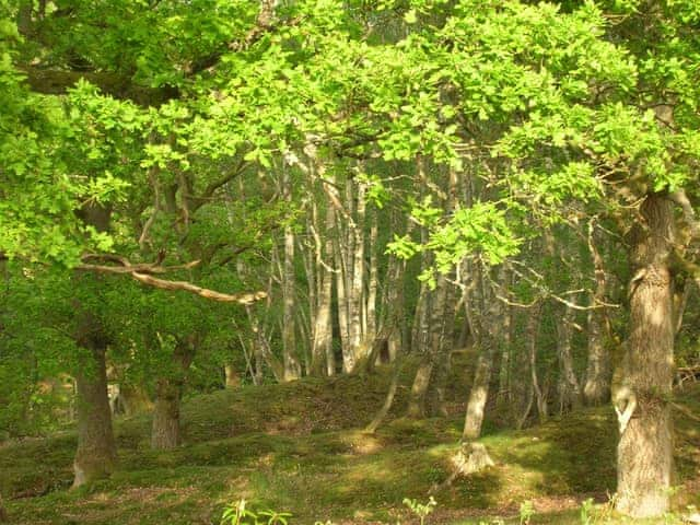 Surrounding area | Ryecroft Cottage, Swindon near Hepple and Rothbury