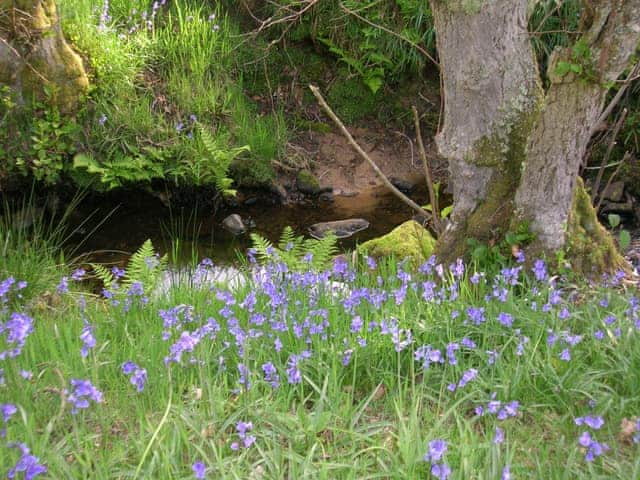 Surrounding area | Ryecroft Cottage, Swindon near Hepple and Rothbury