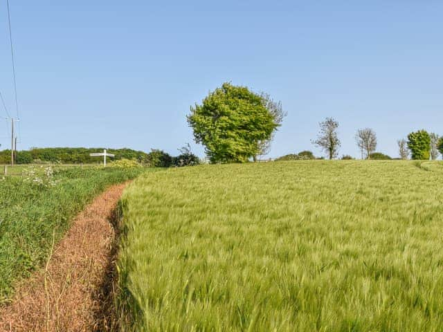 Surrounding area | Baythorn End, Bradfield Common, near North Walsham