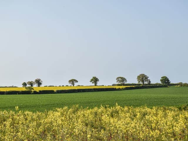 Surrounding area | Baythorn End, Bradfield Common, near North Walsham