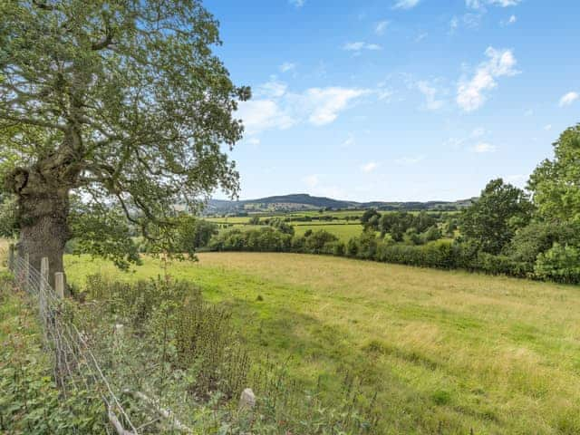 Surrounding area | Jacobs Plock, Leintwardine, near Ludlow