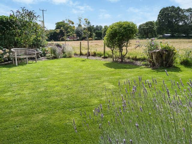 Garden | Wrens Nest, Kington Langley, near Chippenham