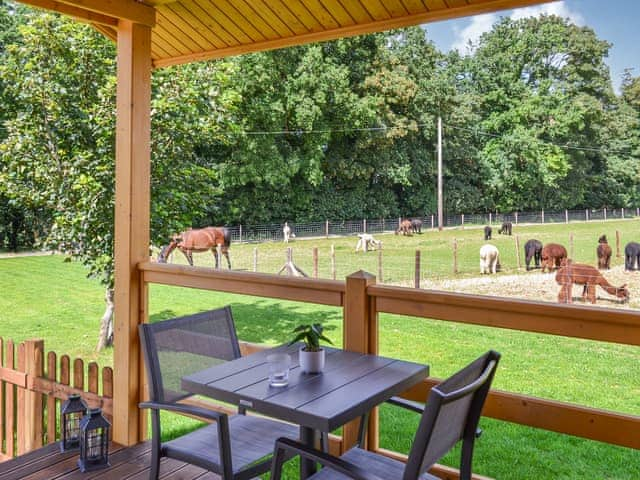 Sitting-out-area | Alpaca Lodge, Grantham