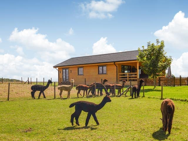 Exterior | Alpaca Lodge, Grantham