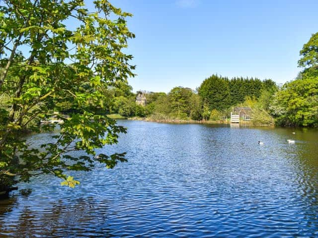 Surrounding area | Riverside Walk, Ruswarp, near Whitby