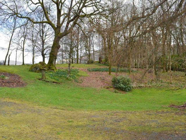 Mature communal gardens and woodland to explore | Crag View, Ambleside