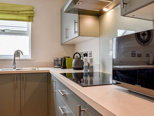 Kitchen | Burrows Ridge, Appledore