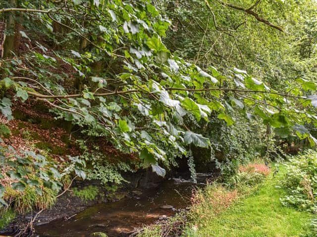 Setting | Brookside Cottage, Copley, near Bishop Auckland