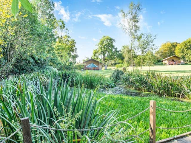 Outdoor area | Hedgehog Hideaway - Little North Field, Bishop Thornton, near Harrogate