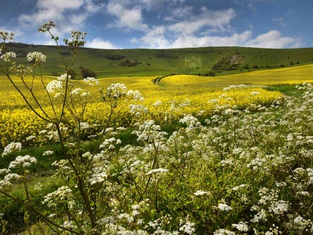 South Downs National Park