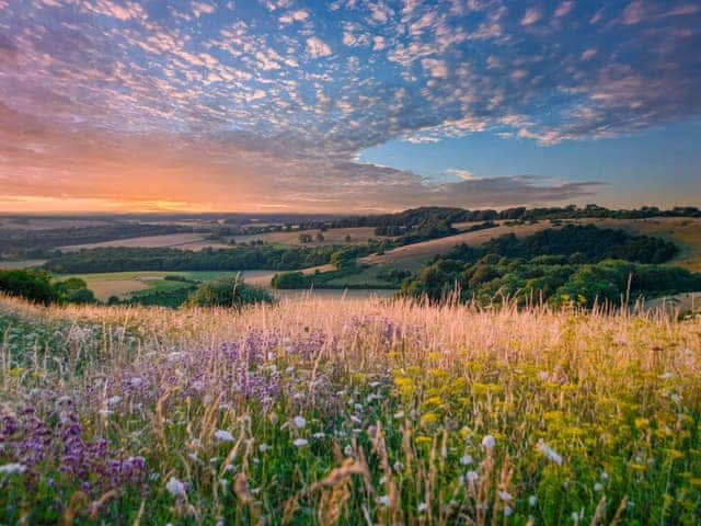 South Downs National Park