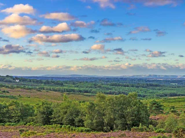 Ashdown Forest