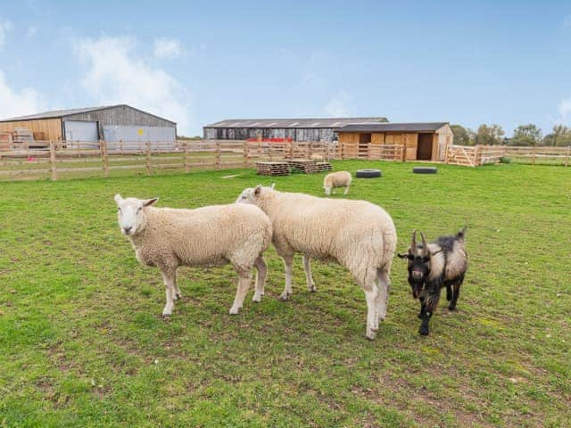 Local attraction | The Old Haybarn - Brookfields Holiday Farm, Church Broughton, near Derby