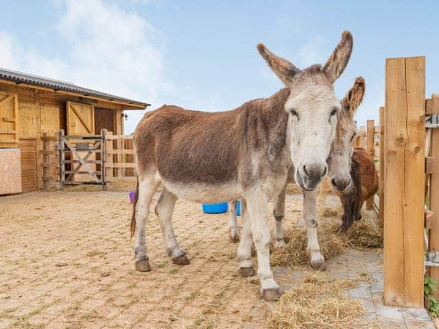 Local attraction | The Old Haybarn - Brookfields Holiday Farm, Church Broughton, near Derby