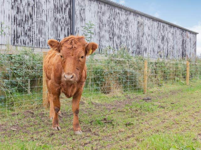 Local attraction | The Old Haybarn - Brookfields Holiday Farm, Church Broughton, near Derby